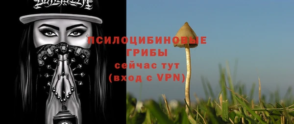 молекула духа Арсеньев