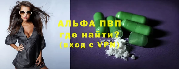 молекула духа Арсеньев