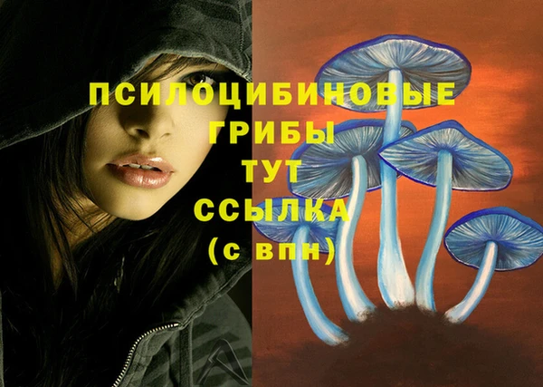 молекула духа Арсеньев