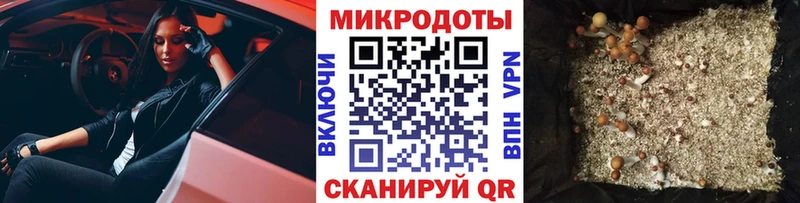 закладка  Сковородино  гидра ONION  Псилоцибиновые грибы мицелий 